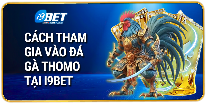 Những điều người chơi cần biết khi tham gia đá gà Thomo
