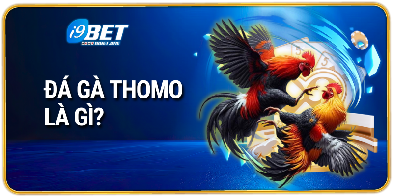 Tìm hiểu về đá gà thomo