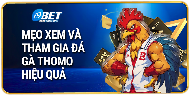 Mẹo đặt cược khi tham gia đá gà thomo